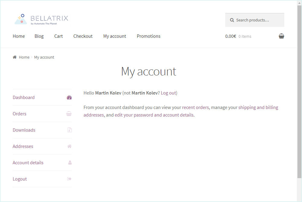 3.11 If the login process is successful, the following screen should be displayed